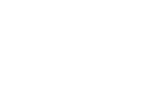 Susan Ffigueroa Logo